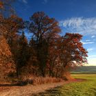 Herbstleuchten