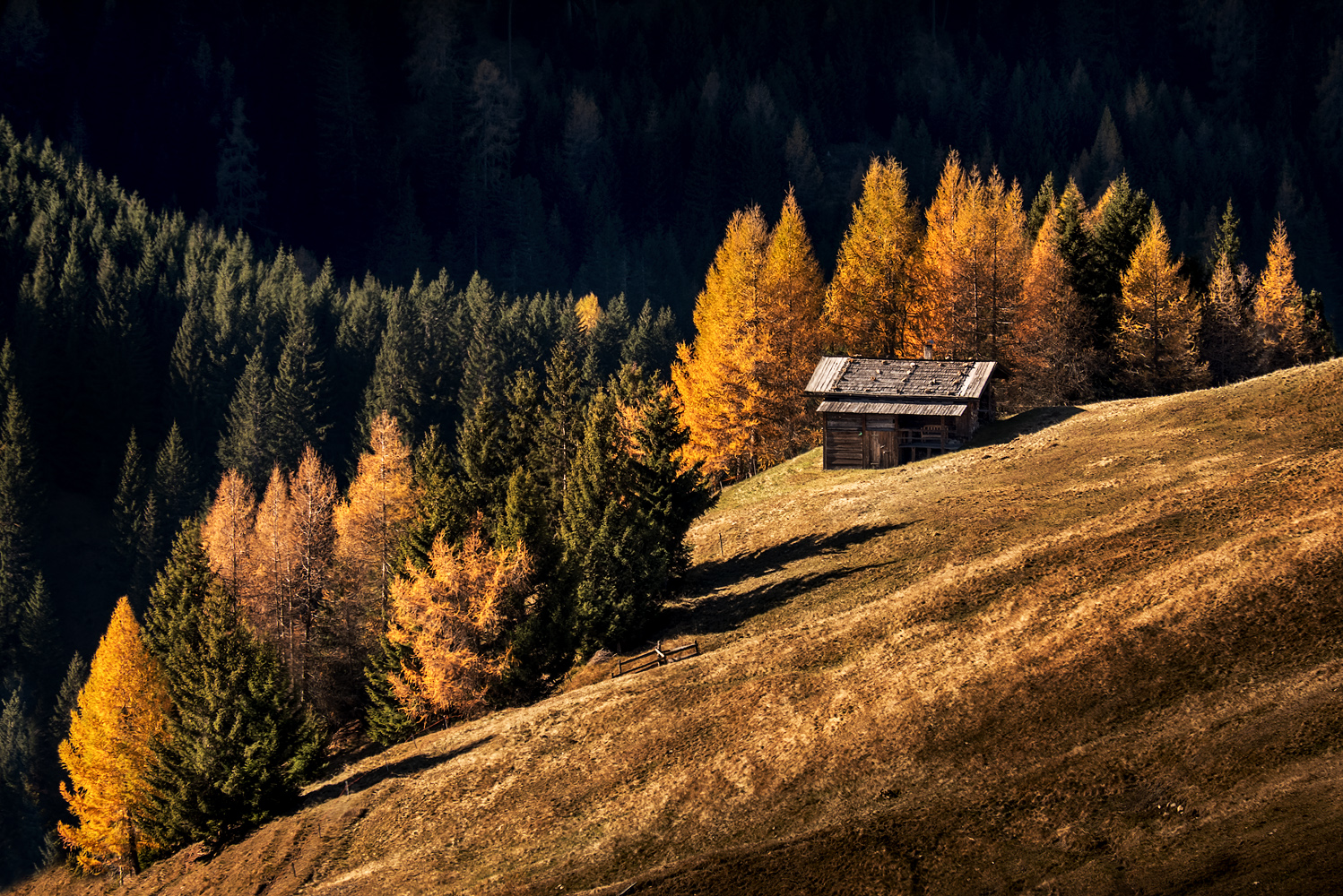 Herbstleuchten