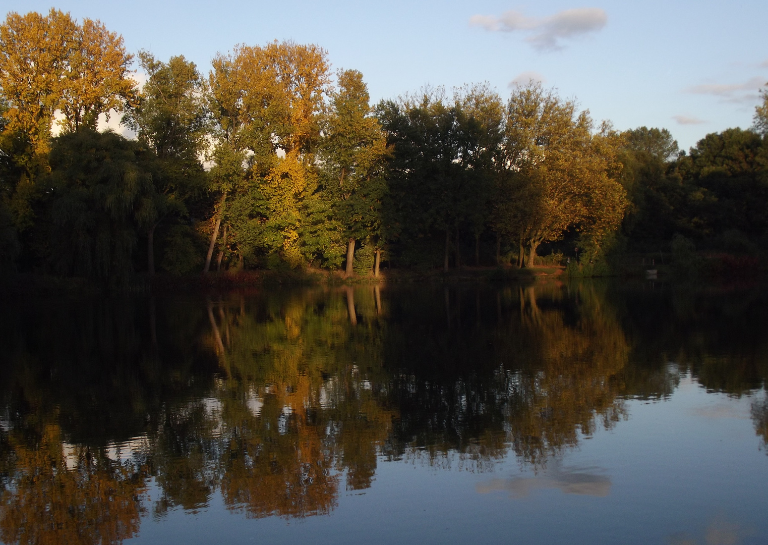 Herbstleuchten