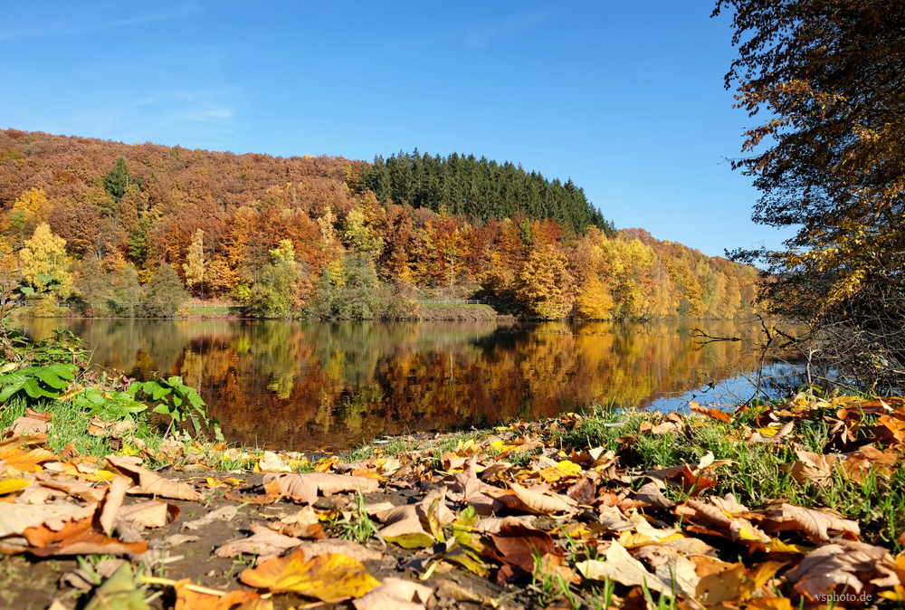 Herbstleuchten