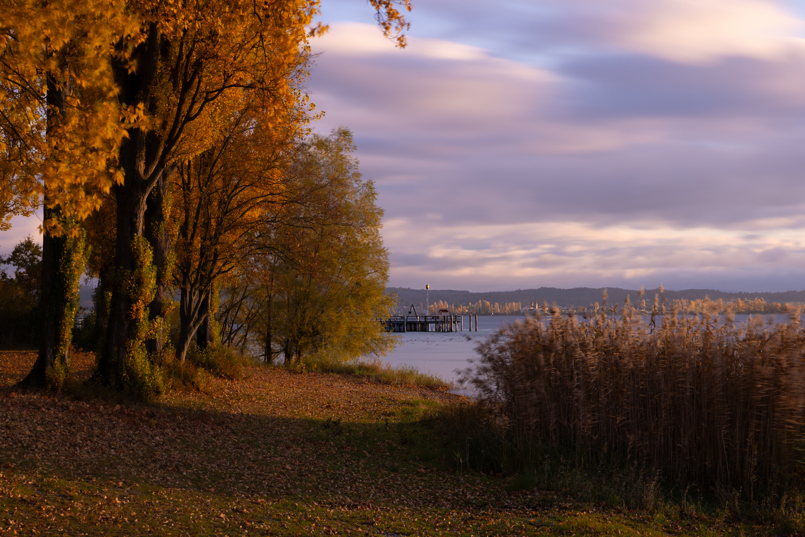 Herbstleuchten 1