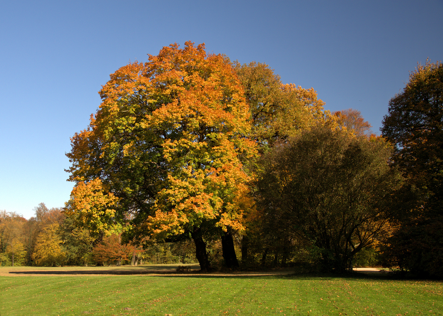 Herbstleuchten