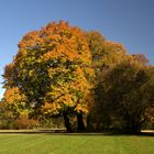 Herbstleuchten