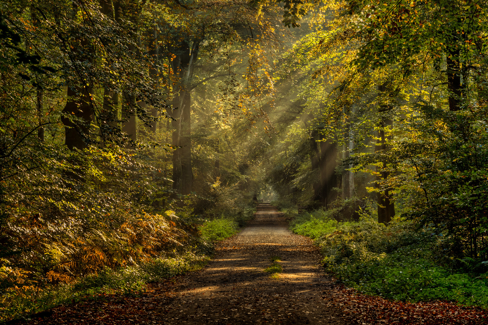 Herbstleuchten