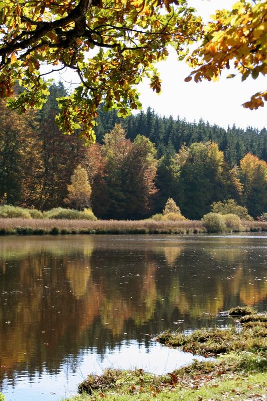 Herbstleuchten