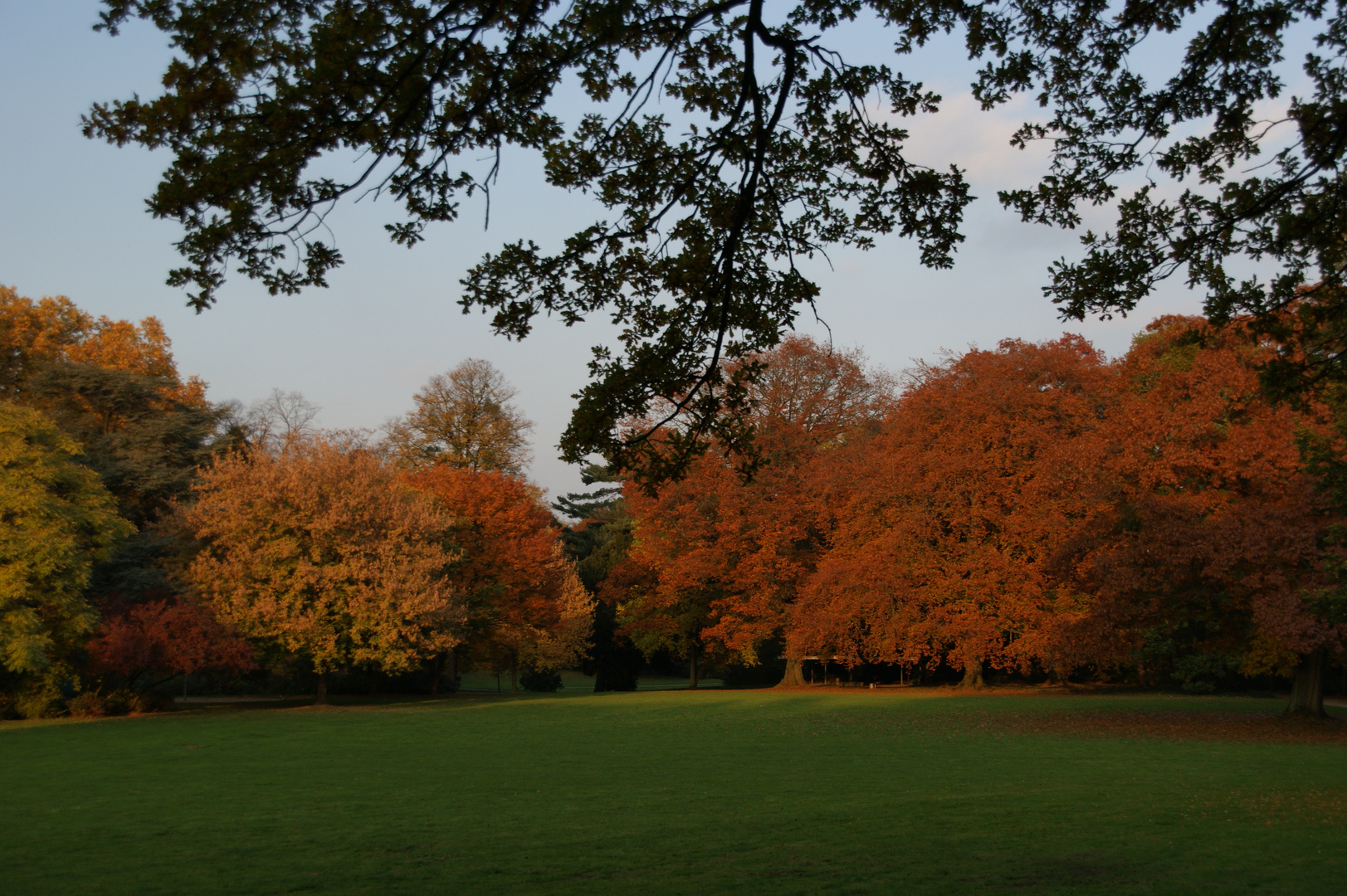 Herbstleuchten