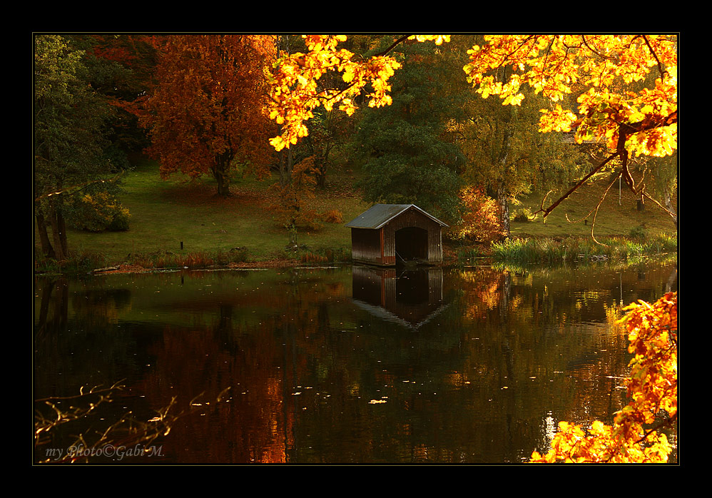 ~Herbstleuchten~