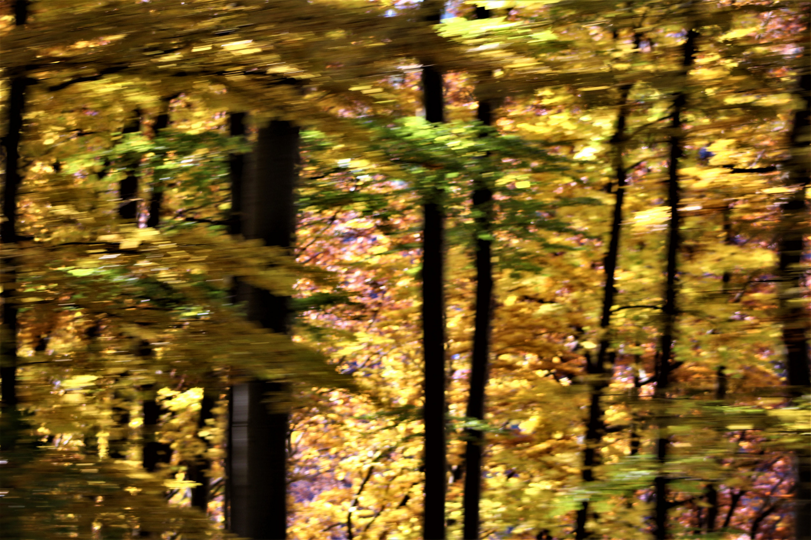 Herbstleuchten,