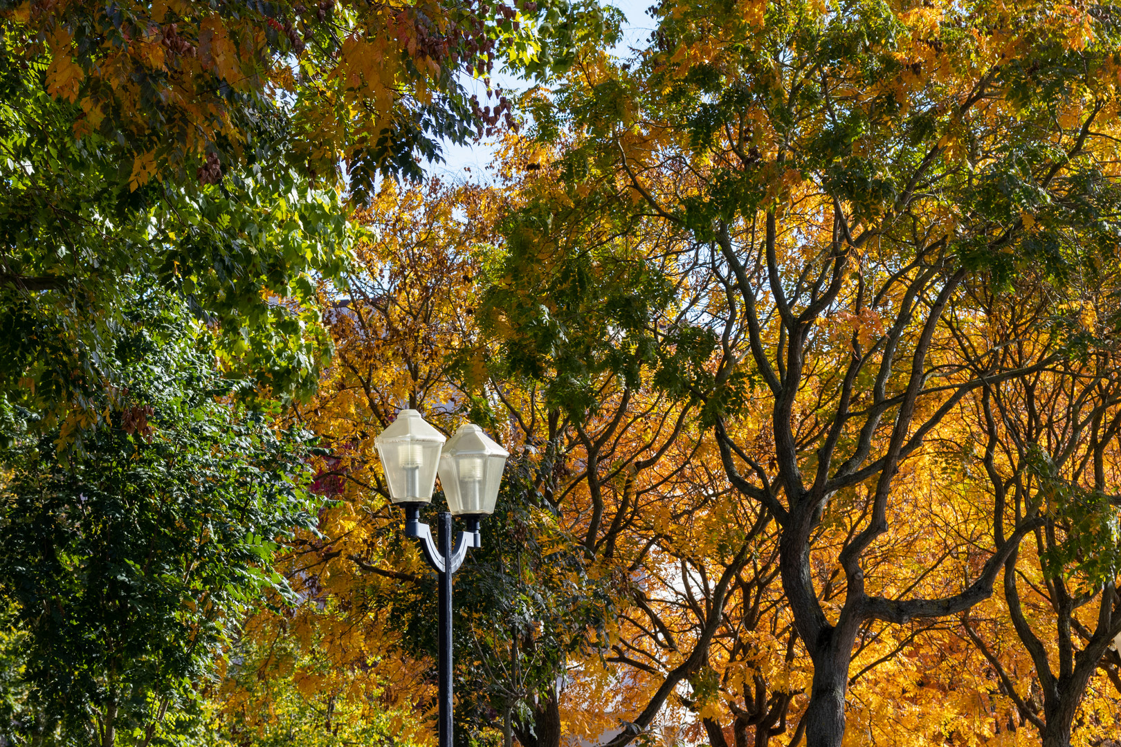 Herbstleuchten