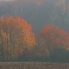 Herbstleuchten