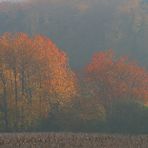 Herbstleuchten