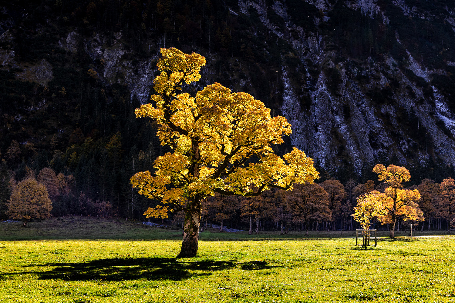 herbstleuchten