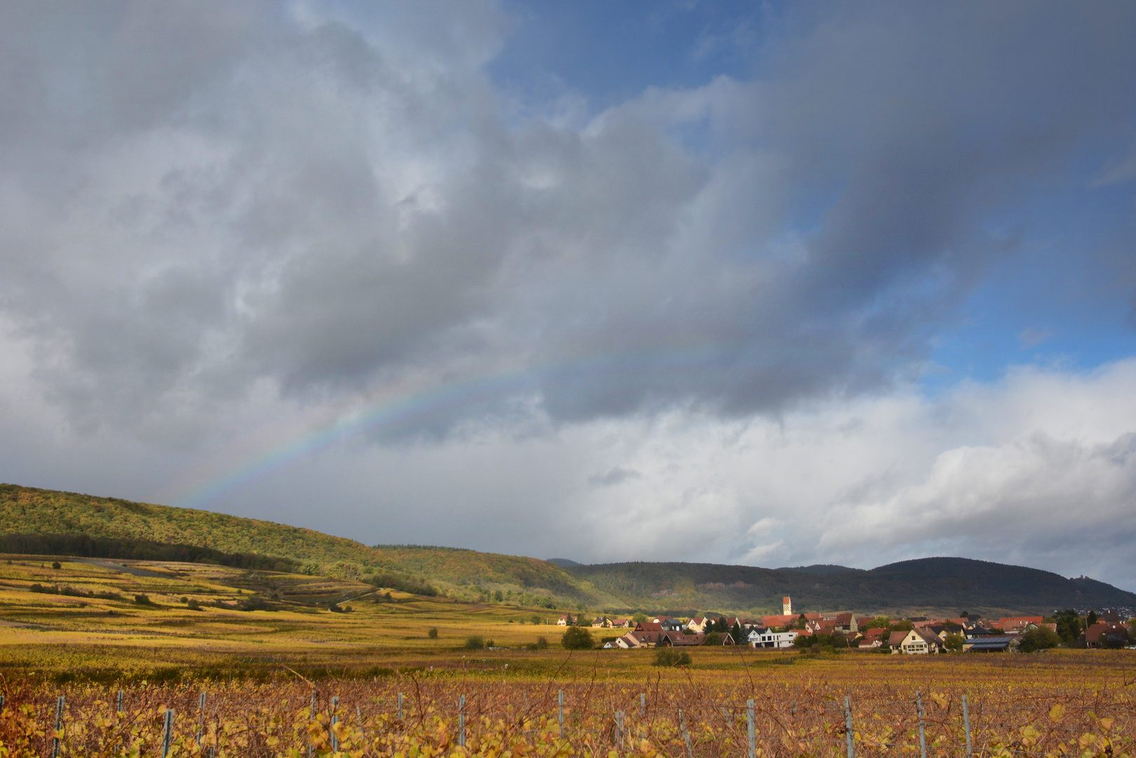 Herbstleuchten