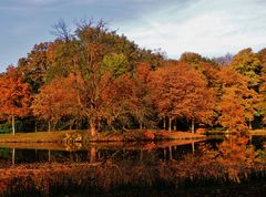 Herbstleuchten 2