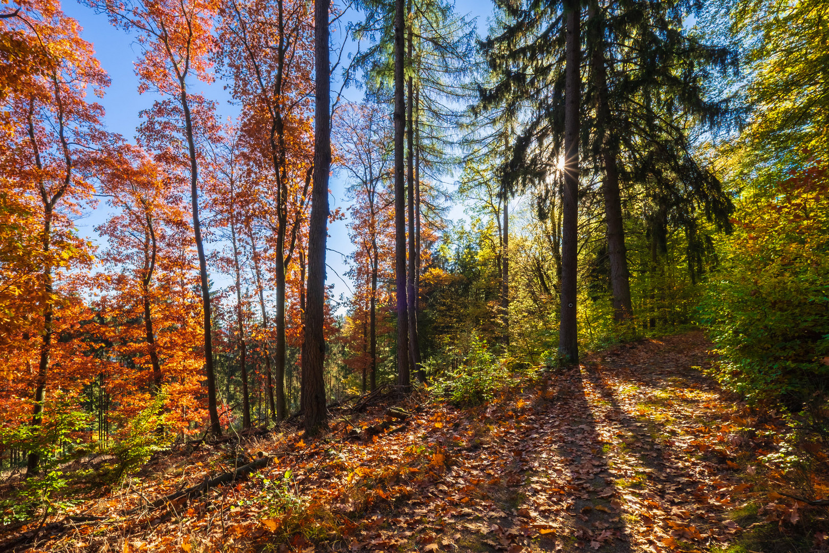 Herbstleuchten 2