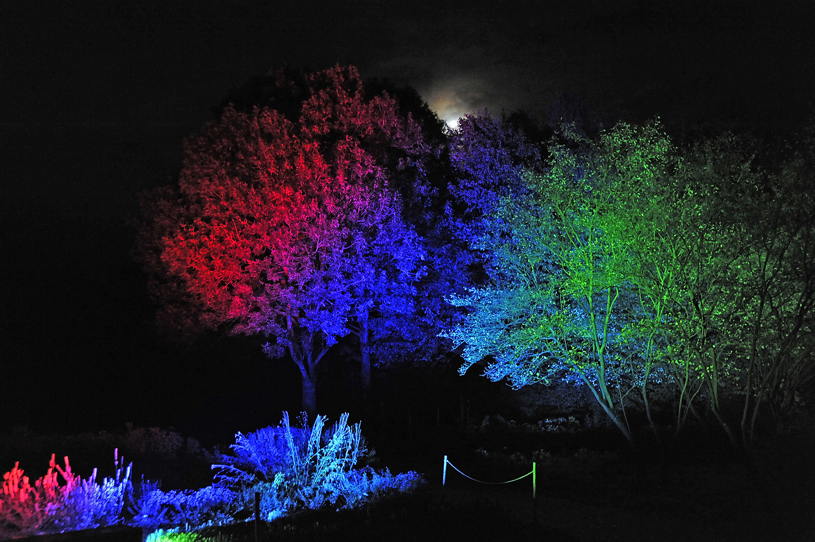 Herbstleuchten 2019 - Illuminationen des Lichtkünstlers Wolfgang Flammersfeld im Maximilianpark Hamm