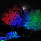 Herbstleuchten 2019 - Illuminationen des Lichtkünstlers Wolfgang Flammersfeld im Maximilianpark Hamm