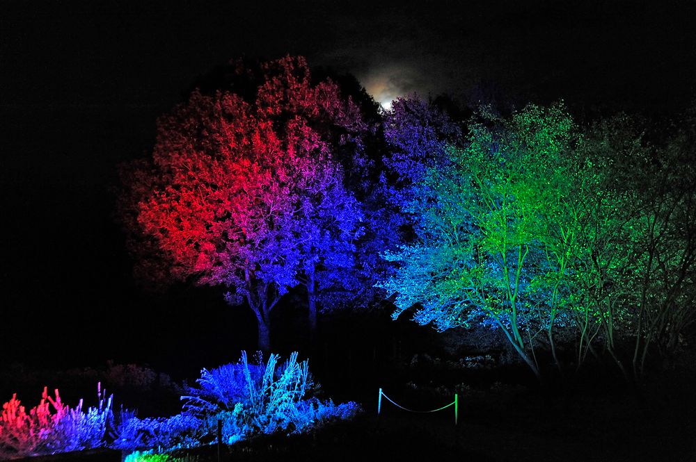 Herbstleuchten 2019 - Illuminationen des Lichtkünstlers Wolfgang Flammersfeld im Maximilianpark Hamm