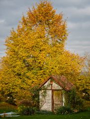 HerbstLeuchten