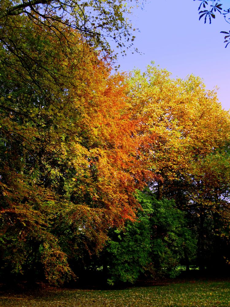 Herbstleuchten