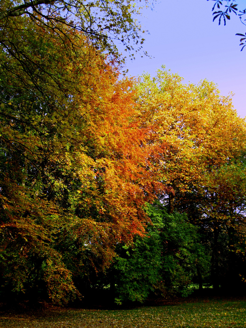 Herbstleuchten