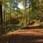 Herbstleuchten