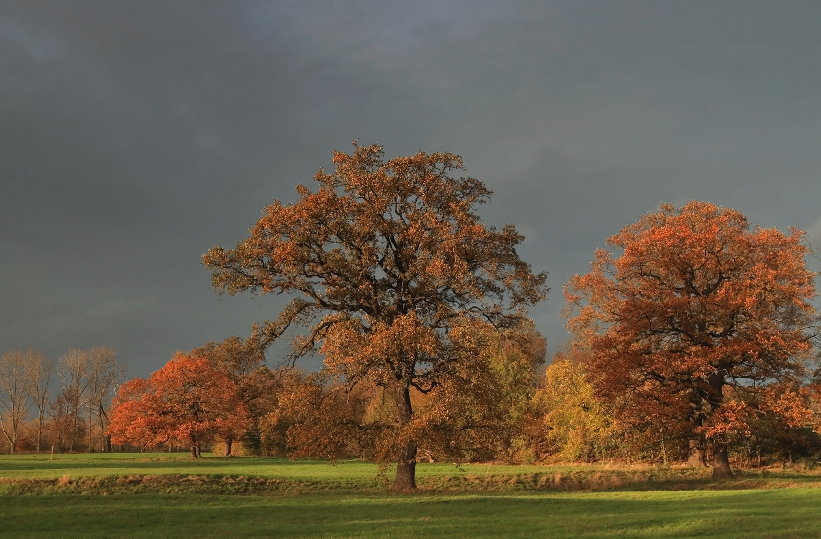 Herbstleuchten