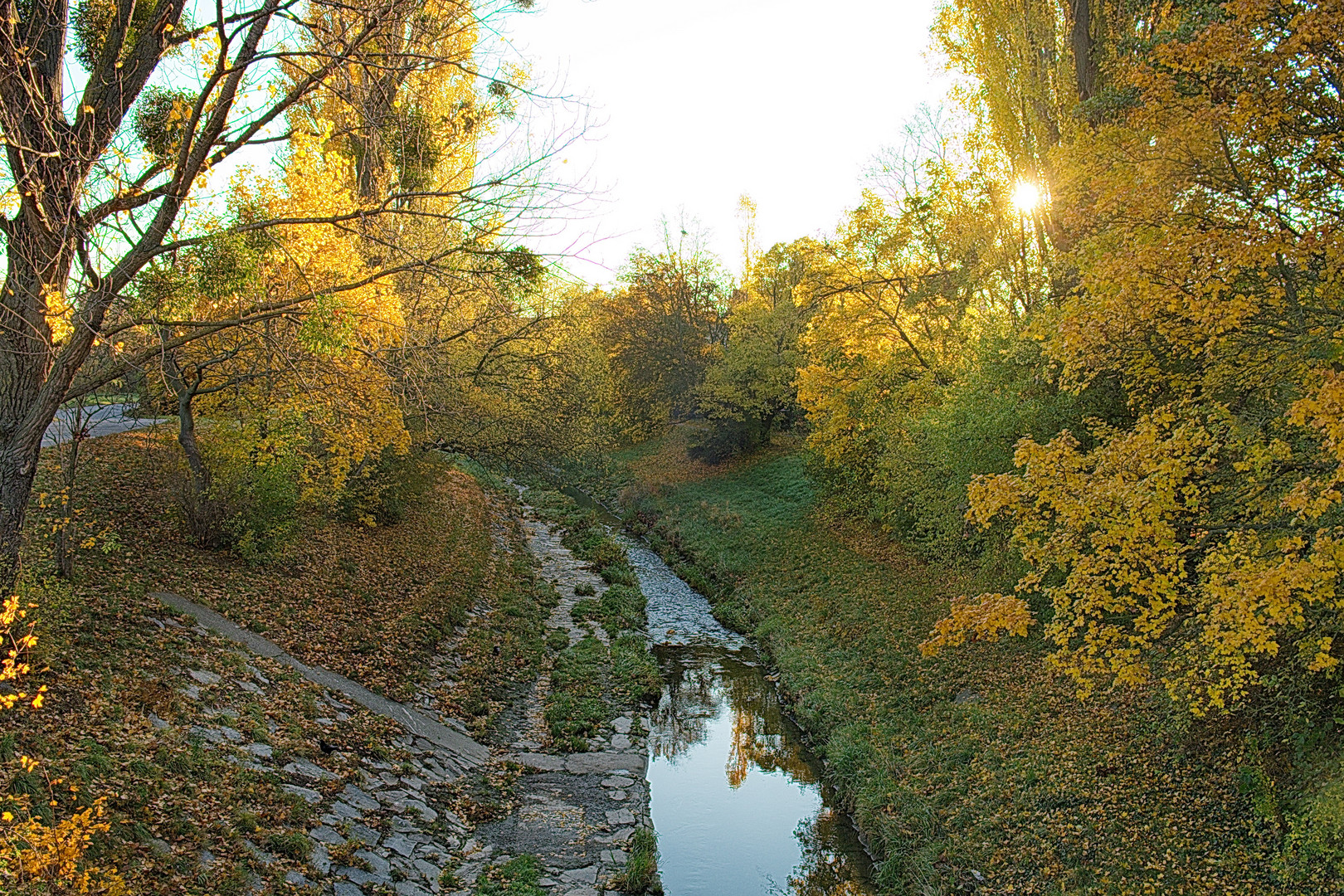 Herbstleuchten (3)