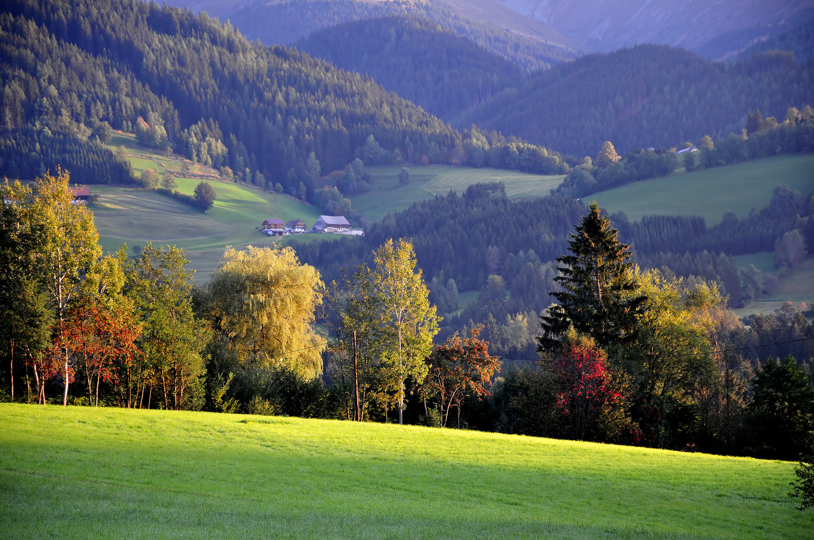 Herbstleuchten