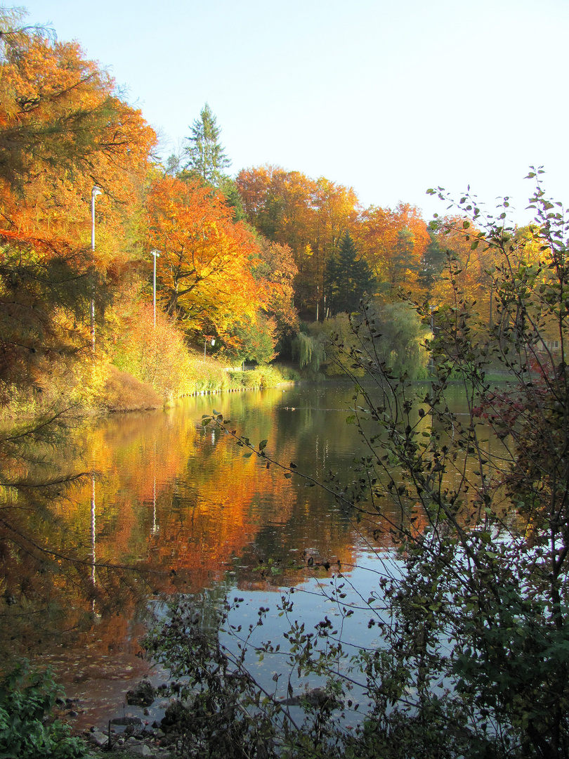 Herbstleuchten....