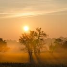 HERBSTLEUCHTEN