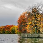 Herbstleuchten