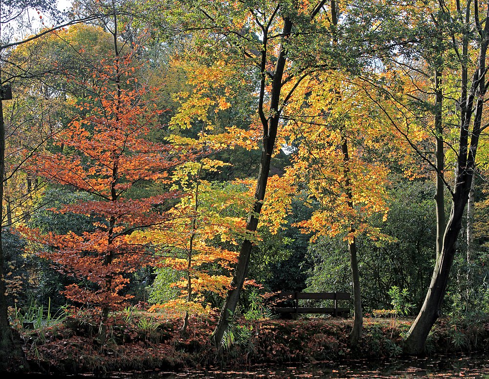 Herbstleuchten