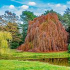 Herbstleuchten 