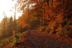 Herbstleuchten