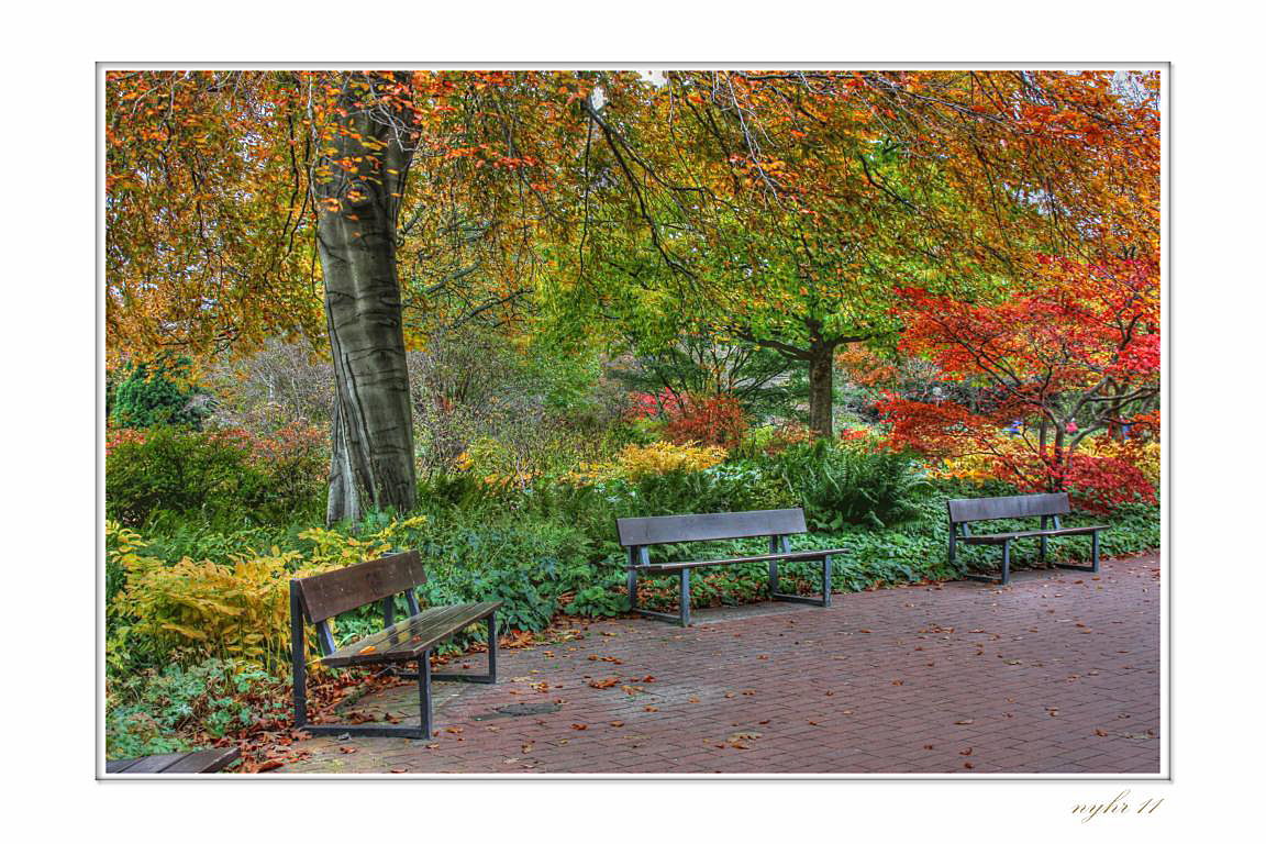 Herbstleuchten