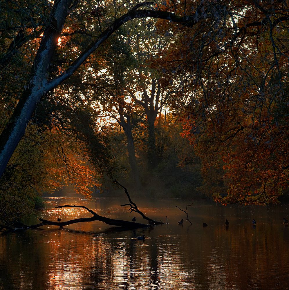 Herbstleuchten