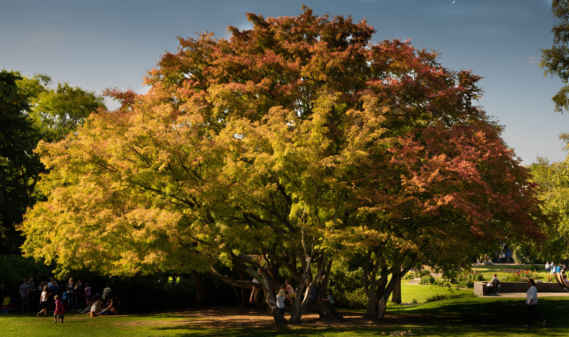 Herbstleuchten