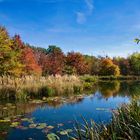 Herbstleuchten