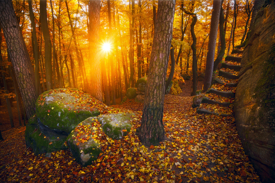 Herbstleuchten