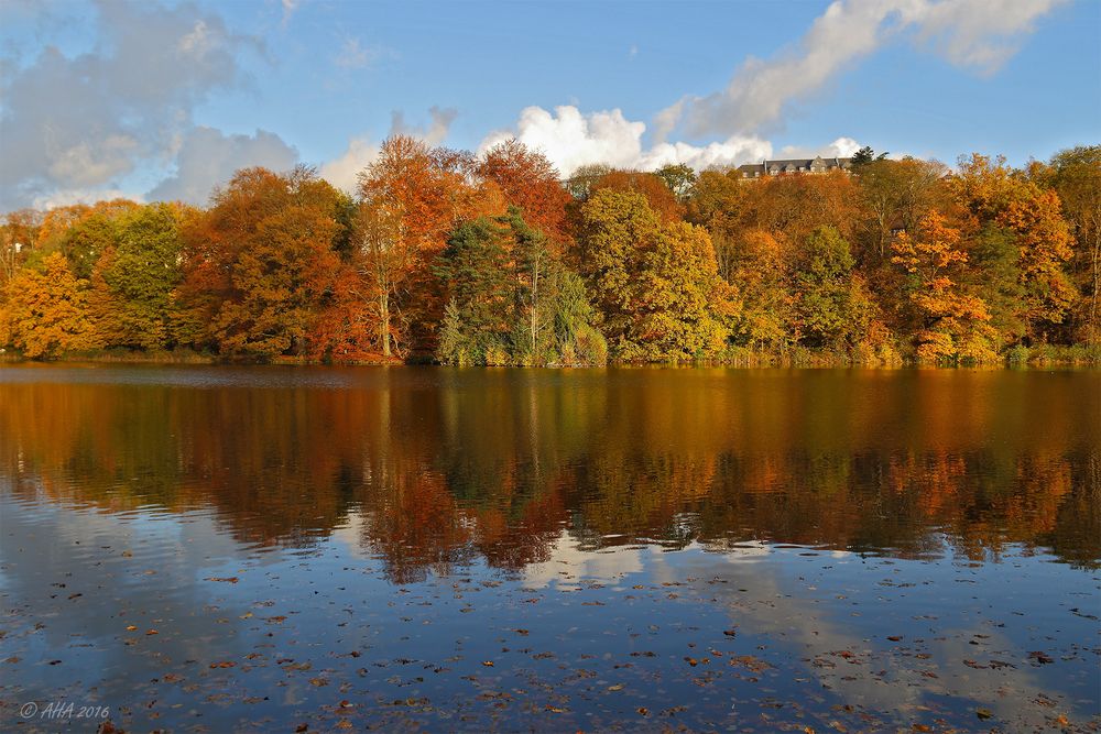 Herbstleuchten