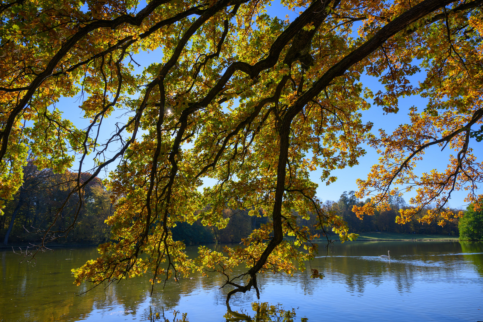 Herbstleuchten