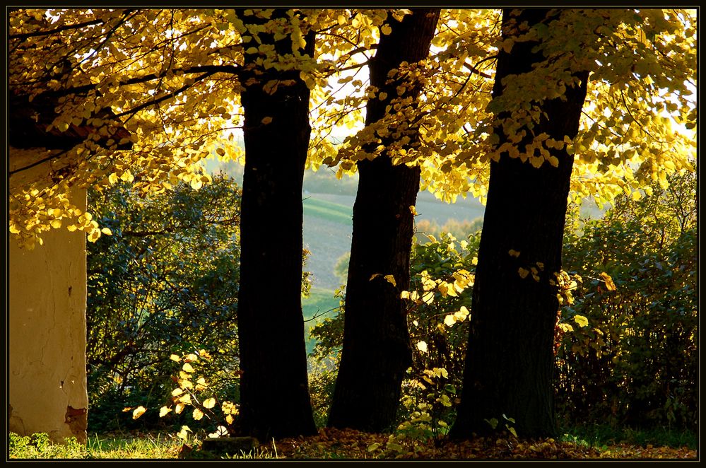 Herbstleuchten