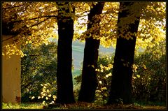 Herbstleuchten