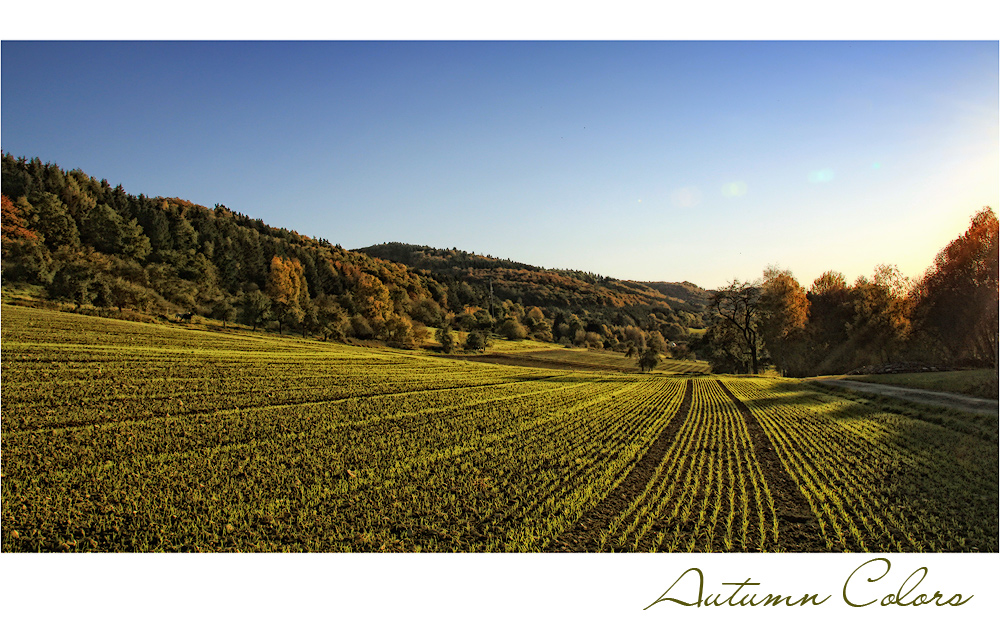 HERBSTLEUCHTEN