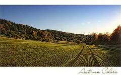 HERBSTLEUCHTEN