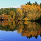 Herbstleuchten