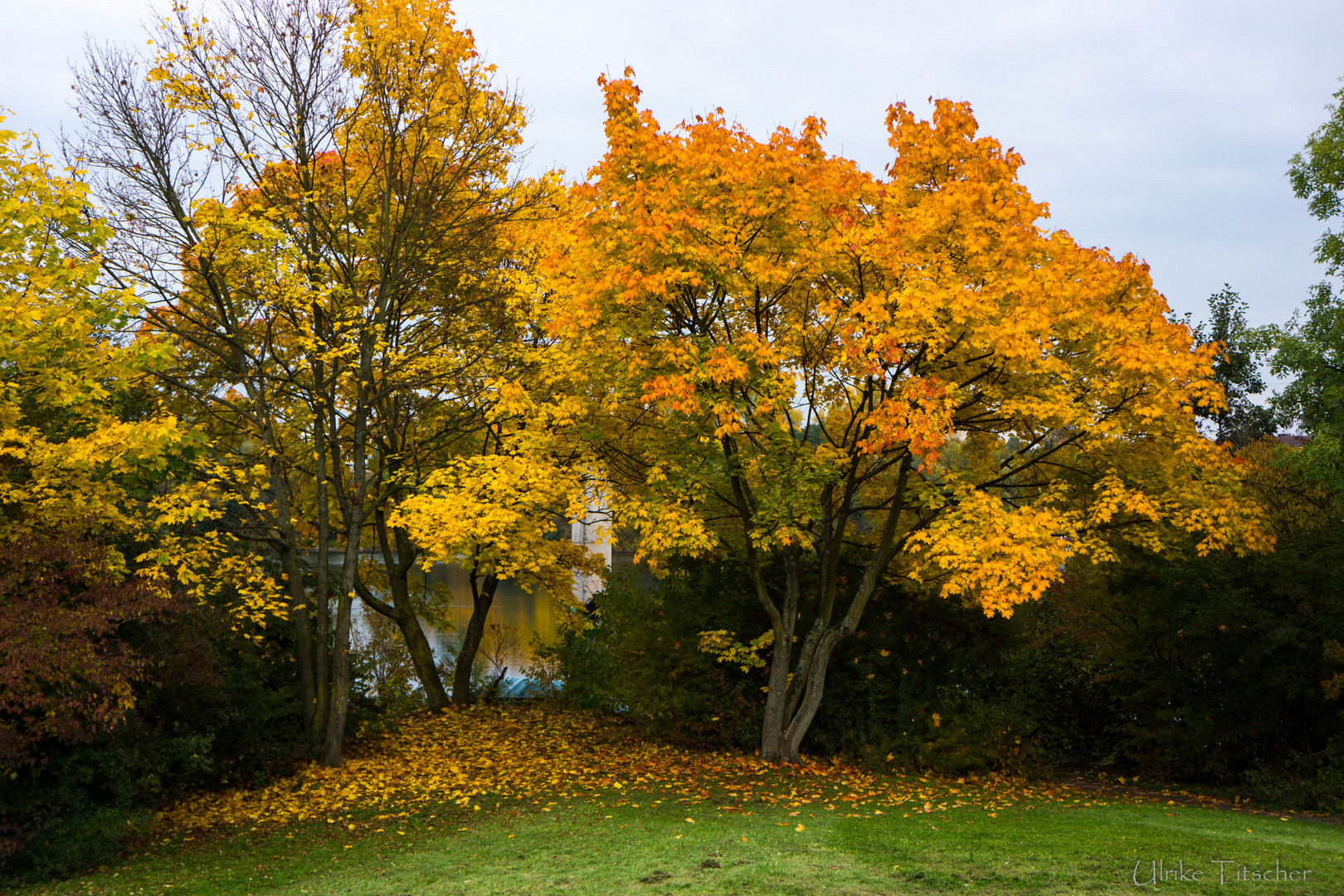 Herbstleuchten