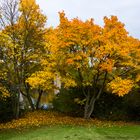 Herbstleuchten