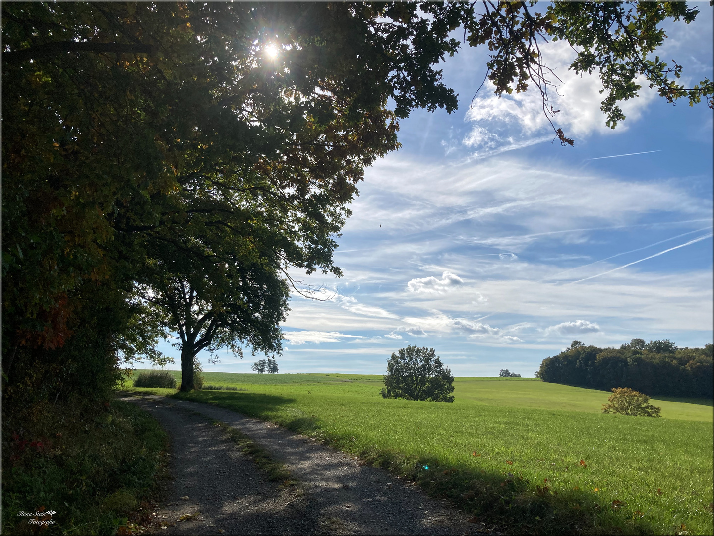 Herbstleuchten 